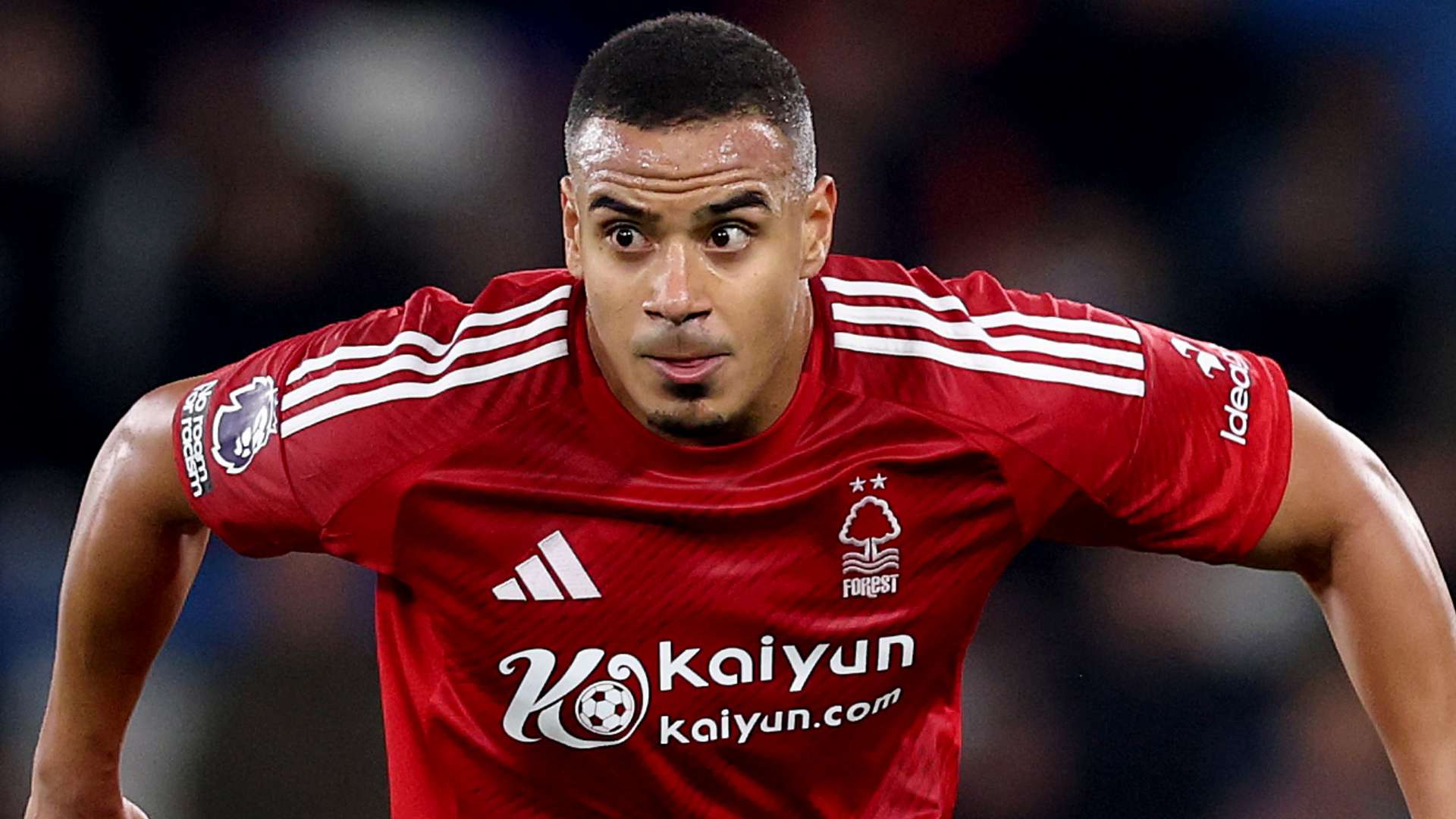 界杯奖杯的 界杯奖杯的